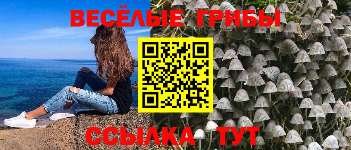 Галлюциногенные грибы мицелий Соликамск