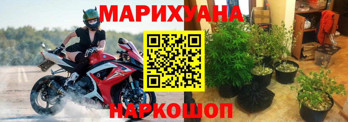 Бошки марихуана марихуана Соликамск